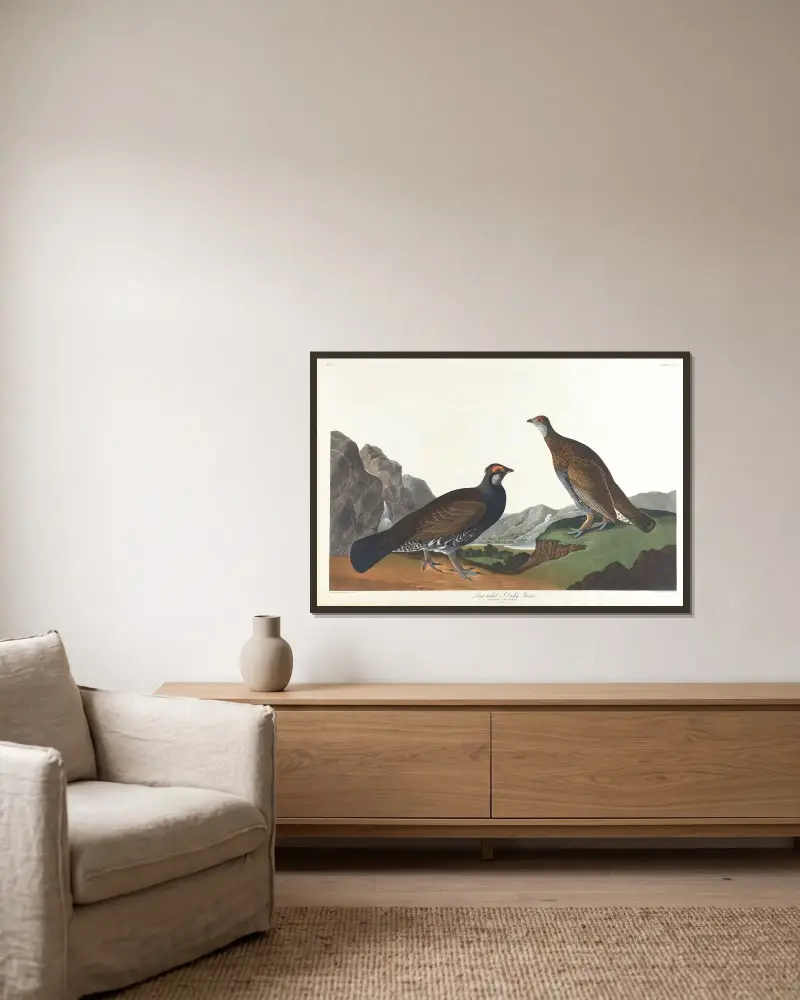 Langschwanz- oder Dunkel-Waldhuhn von John James Audubon gerahmt an einer Wand