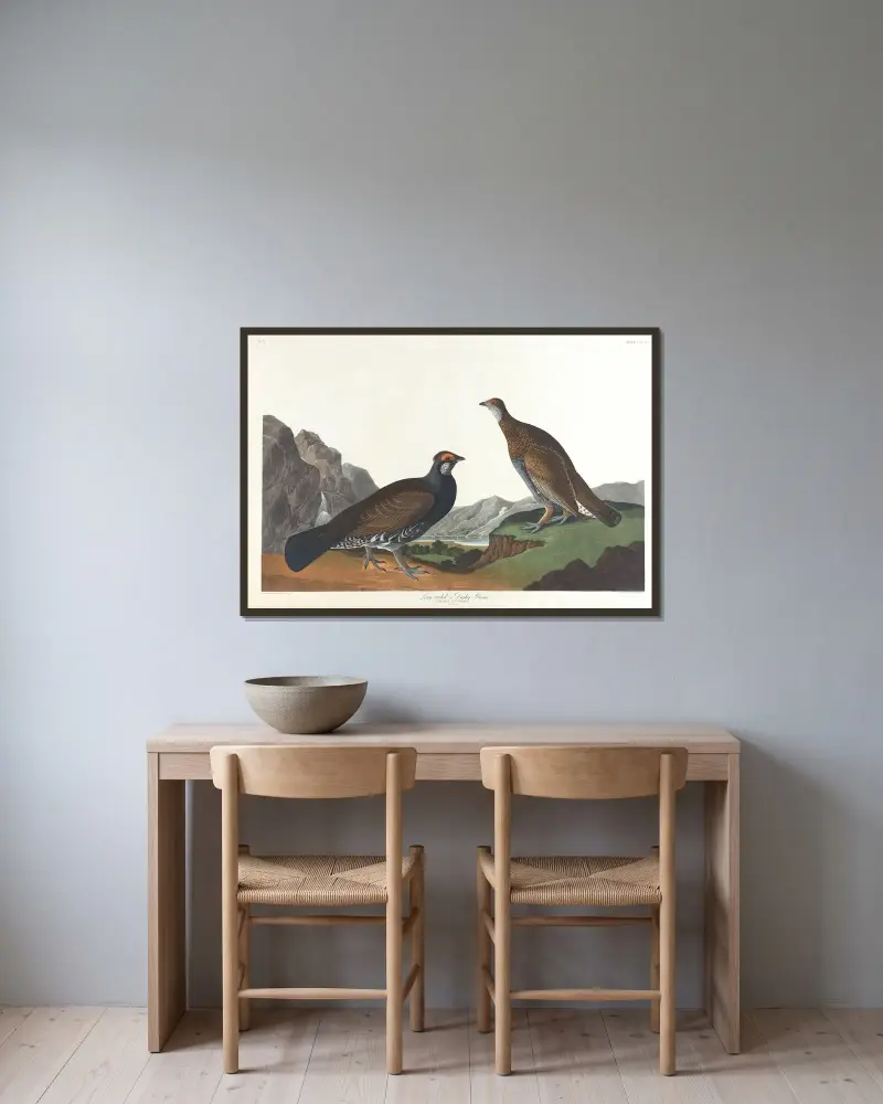Langschwanz- oder Dunkel-Waldhuhn von John James Audubon gerahmt an einer Wand