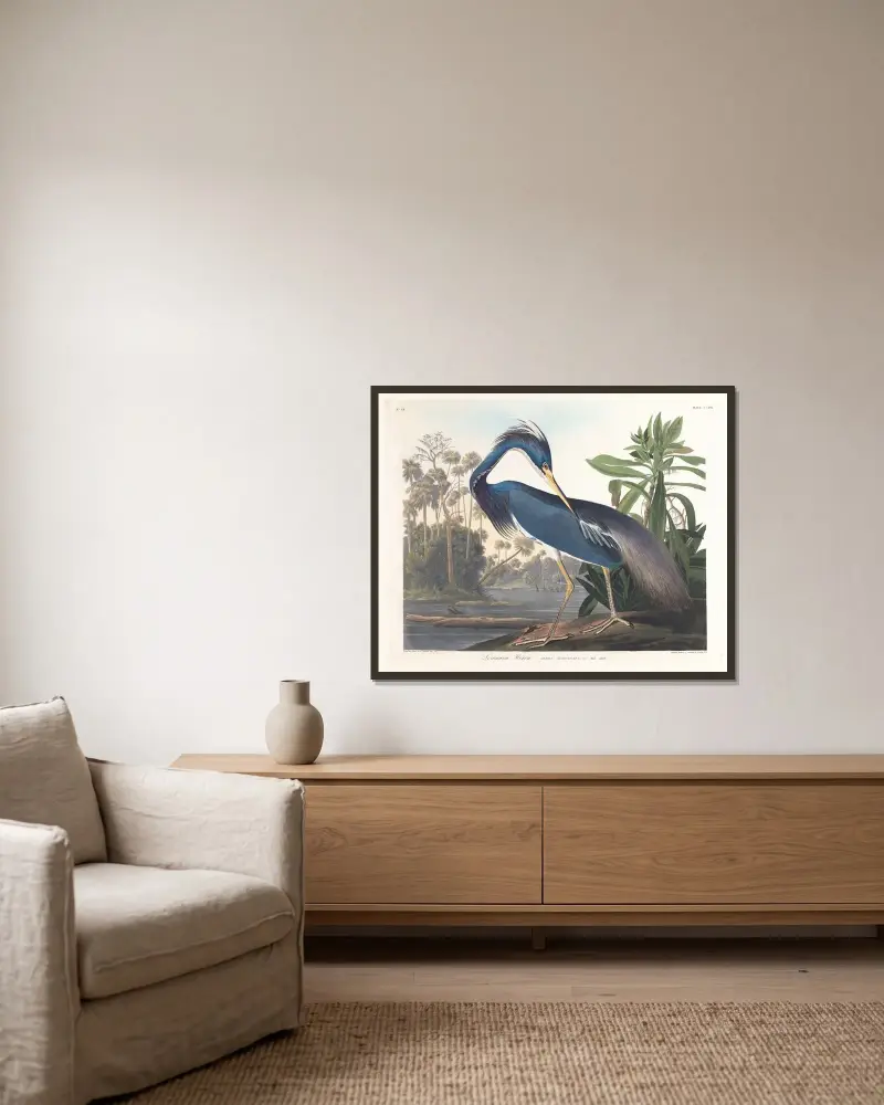 Louisiana-Reiher von John James Audubon gerahmt an einer Wand