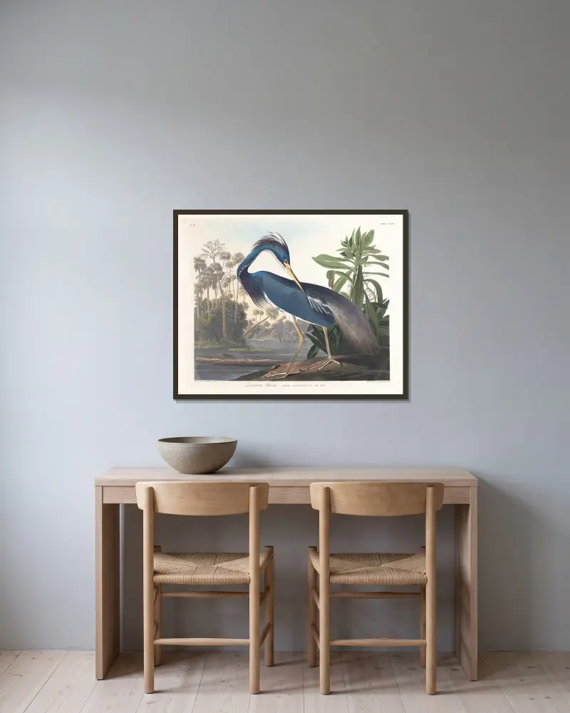 Louisiana-Reiher von John James Audubon gerahmt an einer Wand