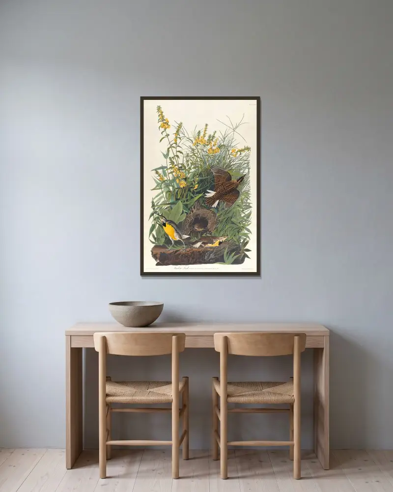 Meadow lark av John James Audubon inramad på en vägg