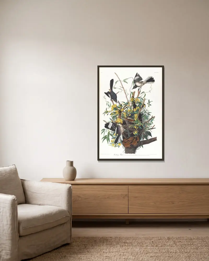 Spottdrossel von John James Audubon gerahmt an einer Wand