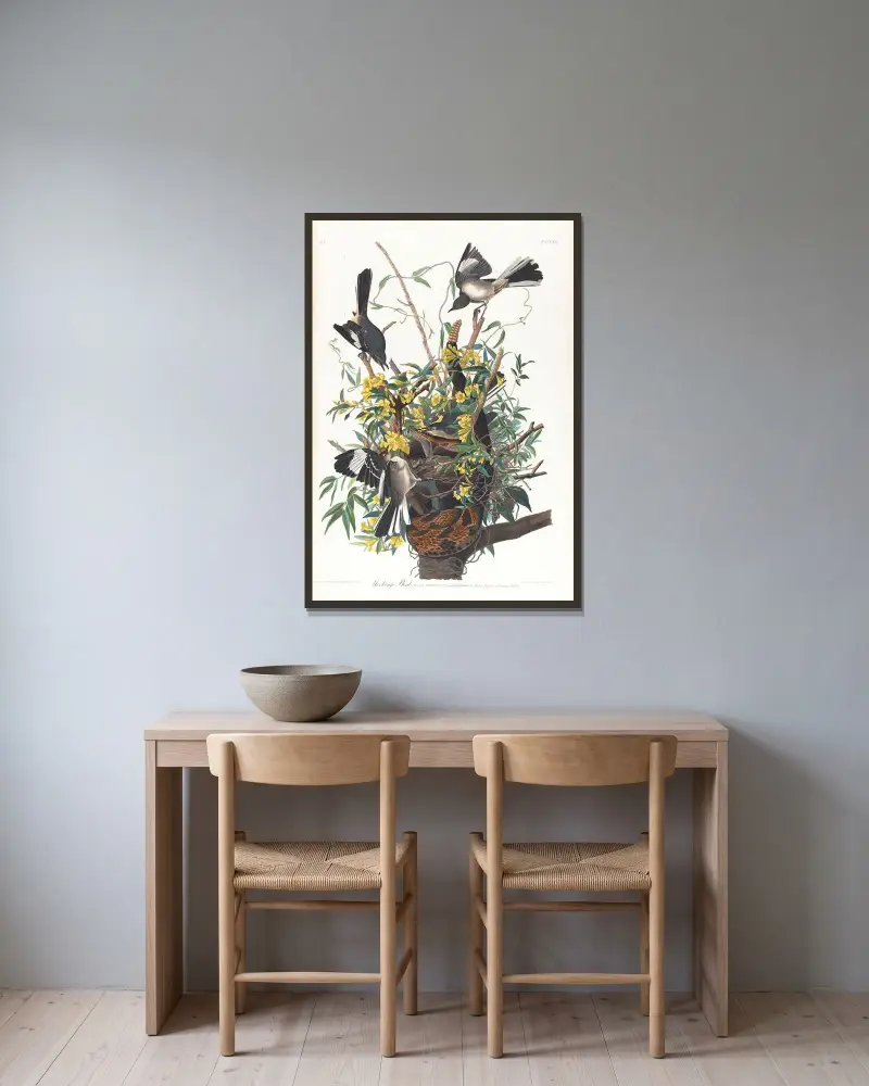 Spottdrossel von John James Audubon gerahmt an einer Wand