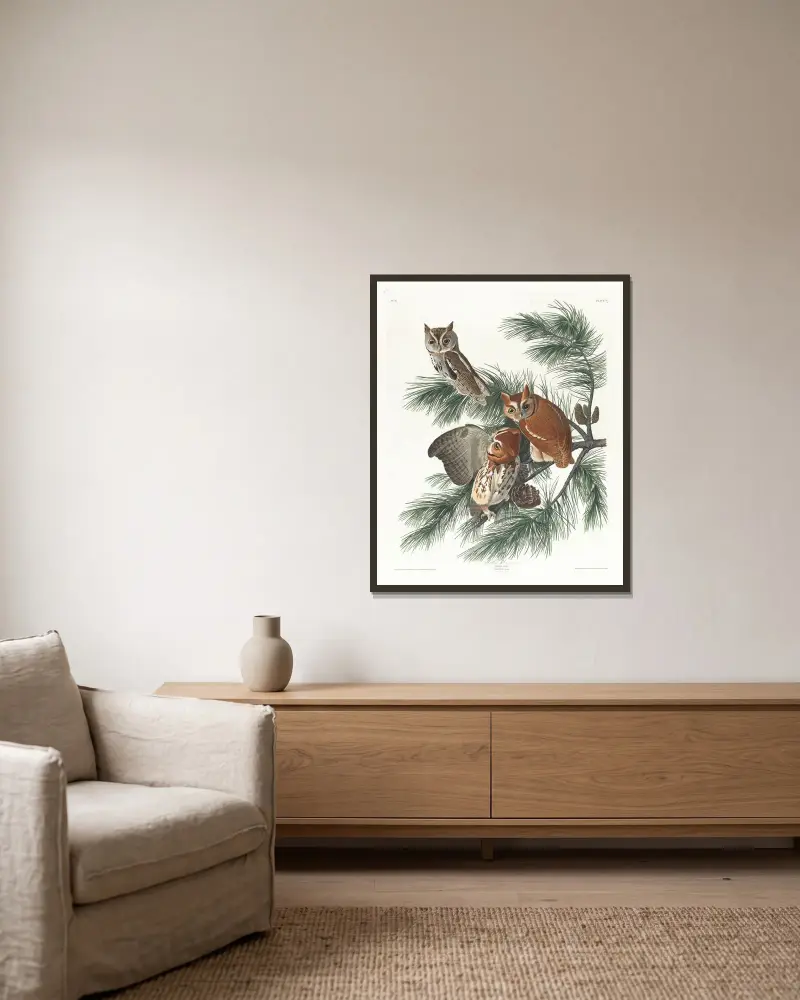Puchacz plamisty, John James Audubon w ramie na ścianie