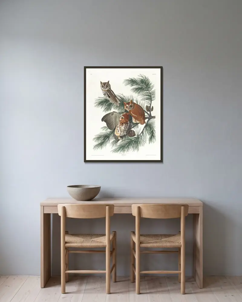 Puchacz plamisty, John James Audubon w ramie na ścianie