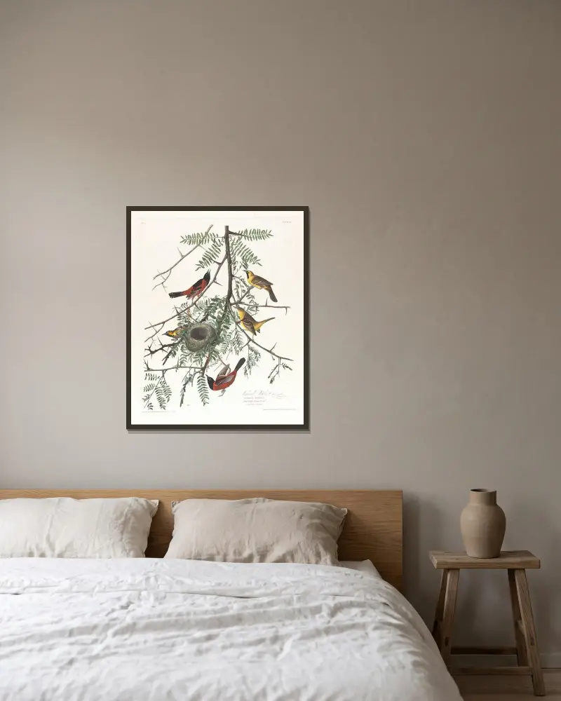 Orchard oriole von John James Audubon gerahmt an einer Wand