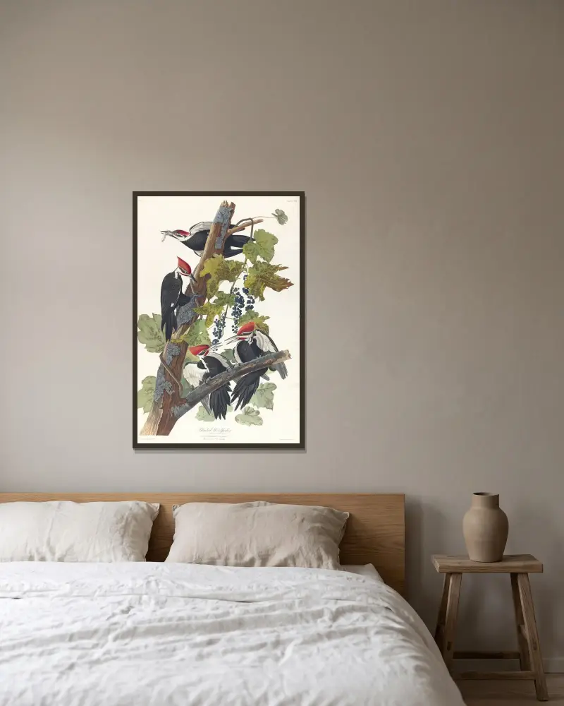 Pileated woodpecker, 1827 – nr 1 av John James Audubon inramad på en vägg