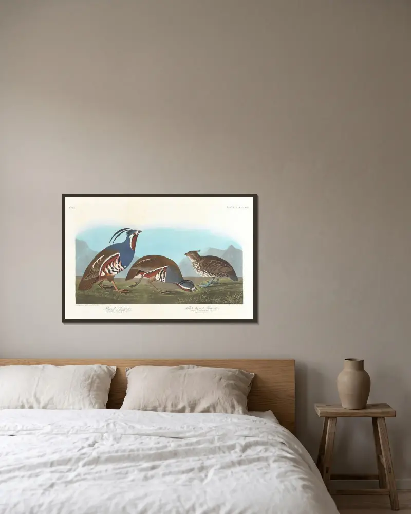 Haubenhuhn. Dickbeiniges Huhn von John James Audubon gerahmt an einer Wand