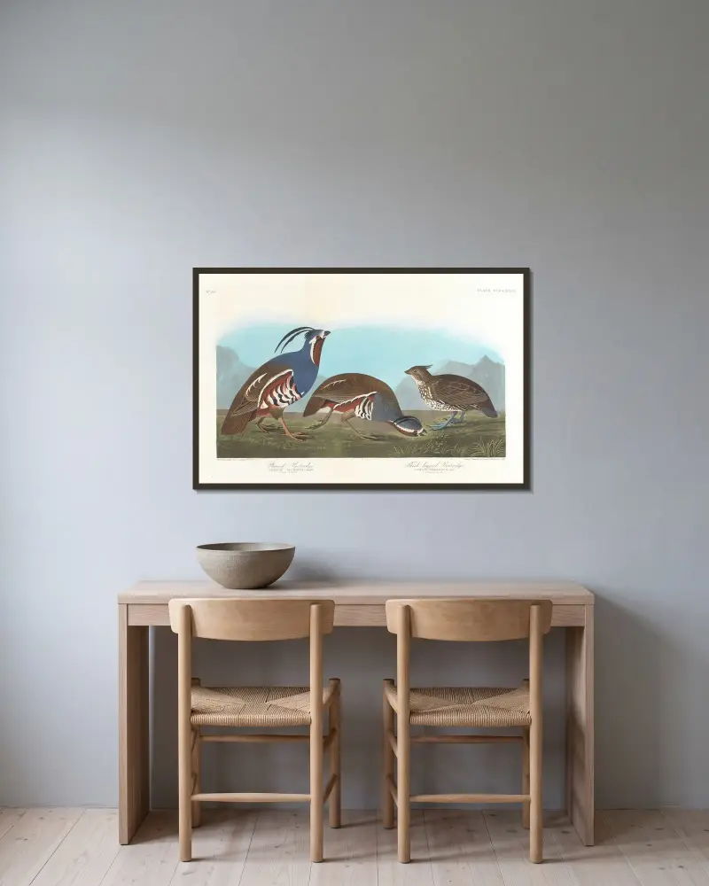 Haubenhuhn. Dickbeiniges Huhn von John James Audubon gerahmt an einer Wand