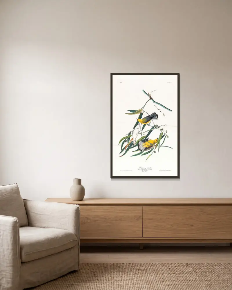 Prothonotary warbler von John James Audubon gerahmt an einer Wand