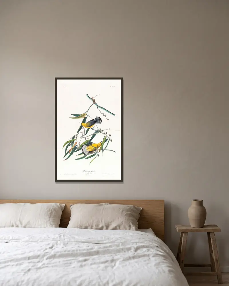 Prothonotary warbler von John James Audubon gerahmt an einer Wand
