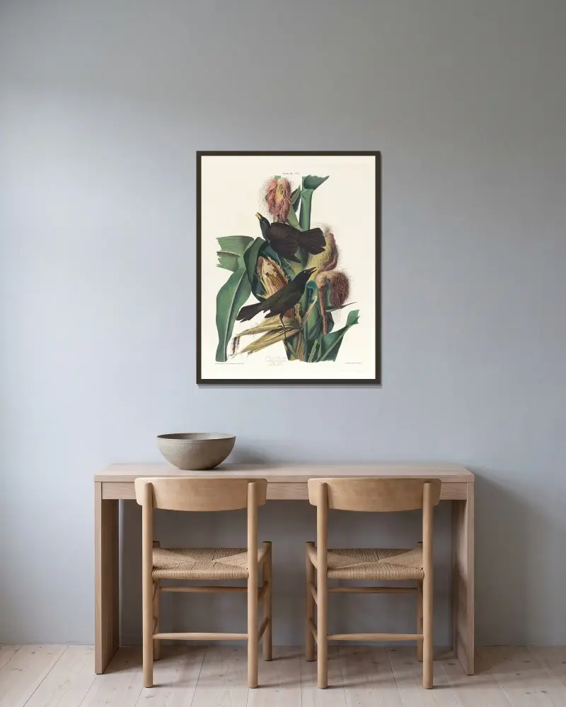Purpurtaube von John James Audubon gerahmt an einer Wand