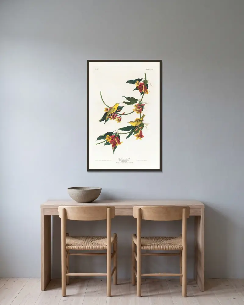 Rathbone warbler av John James Audubon inramad på en vägg