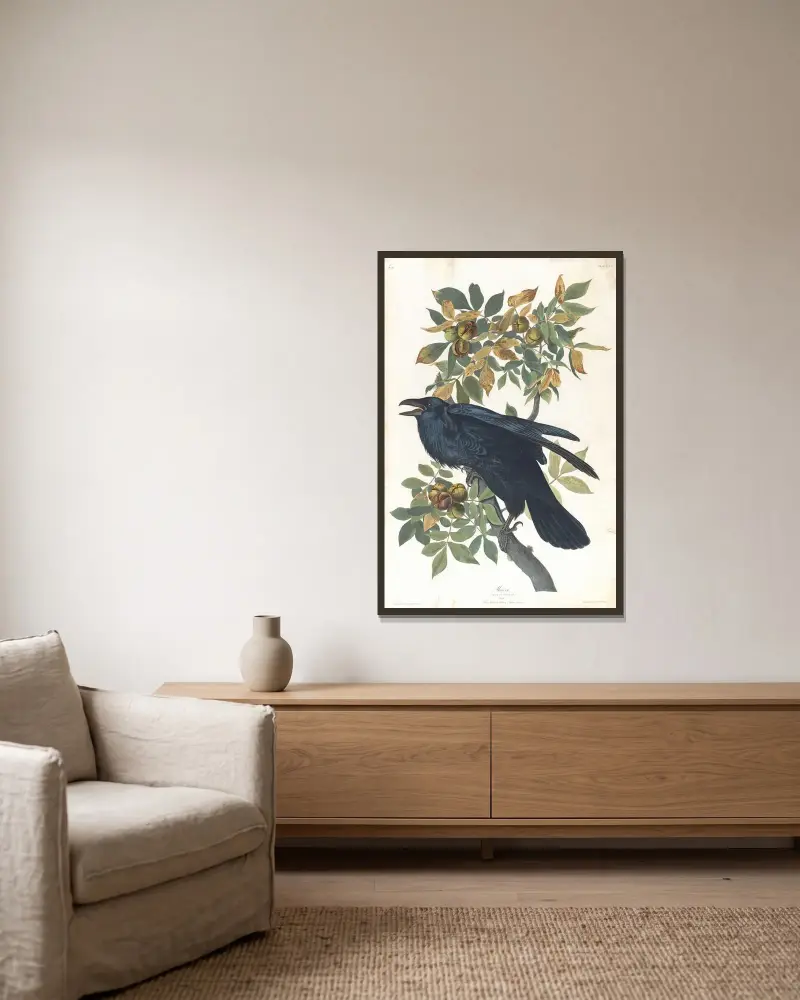 Kruk, John James Audubon w ramie na ścianie