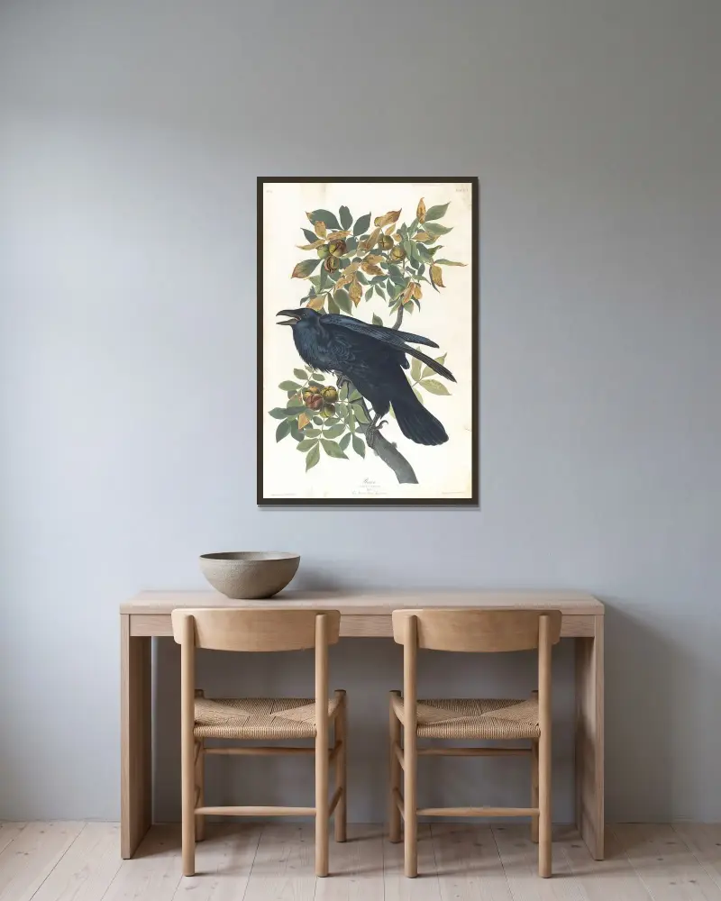 Kruk, John James Audubon w ramie na ścianie