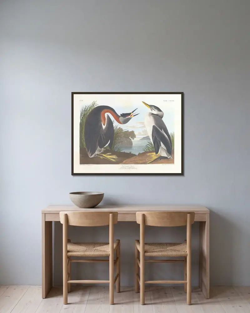 Rotmalk von John James Audubon gerahmt an einer Wand