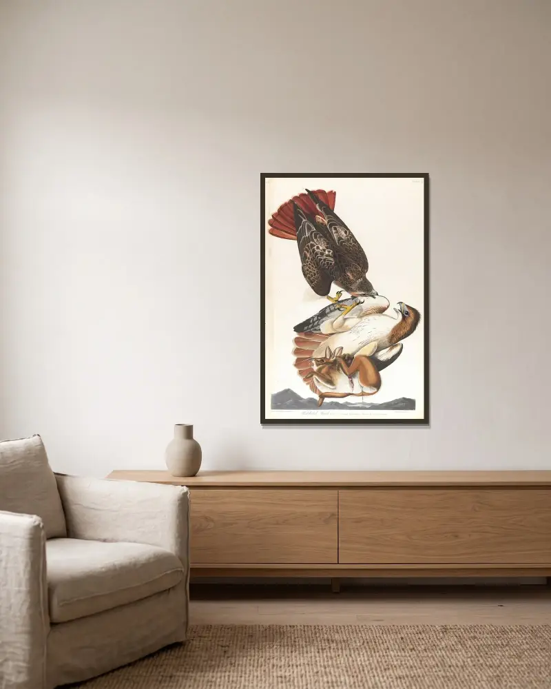 Red-tailed hawk, 1827 – nr 2 av John James Audubon inramad på en vägg