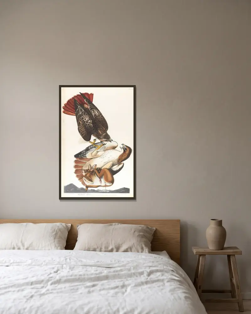 Red-tailed hawk, 1827 – nr 2 av John James Audubon inramad på en vägg