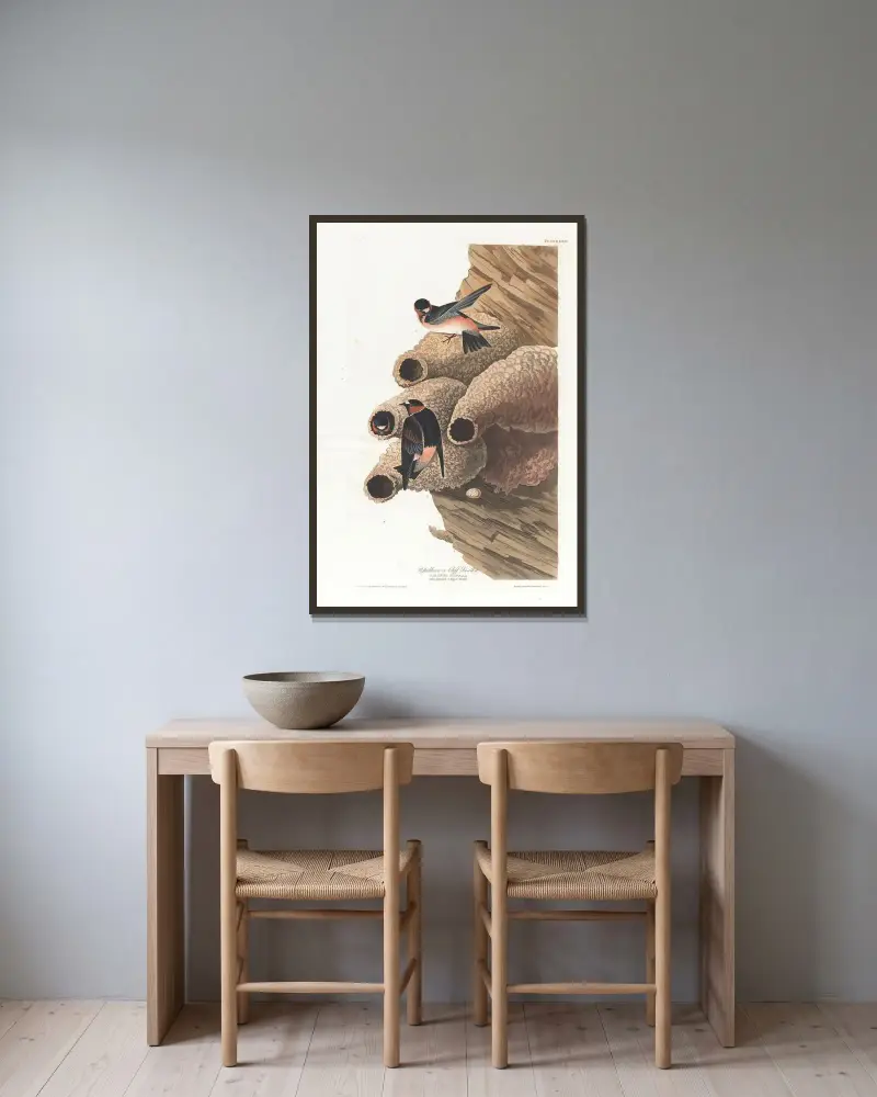 Jaskółka górna i jaskółka skalna, John James Audubon w ramie na ścianie