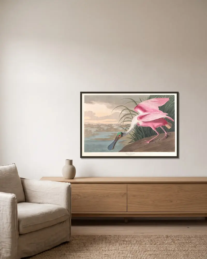 Rosenscheffler von John James Audubon gerahmt an einer Wand