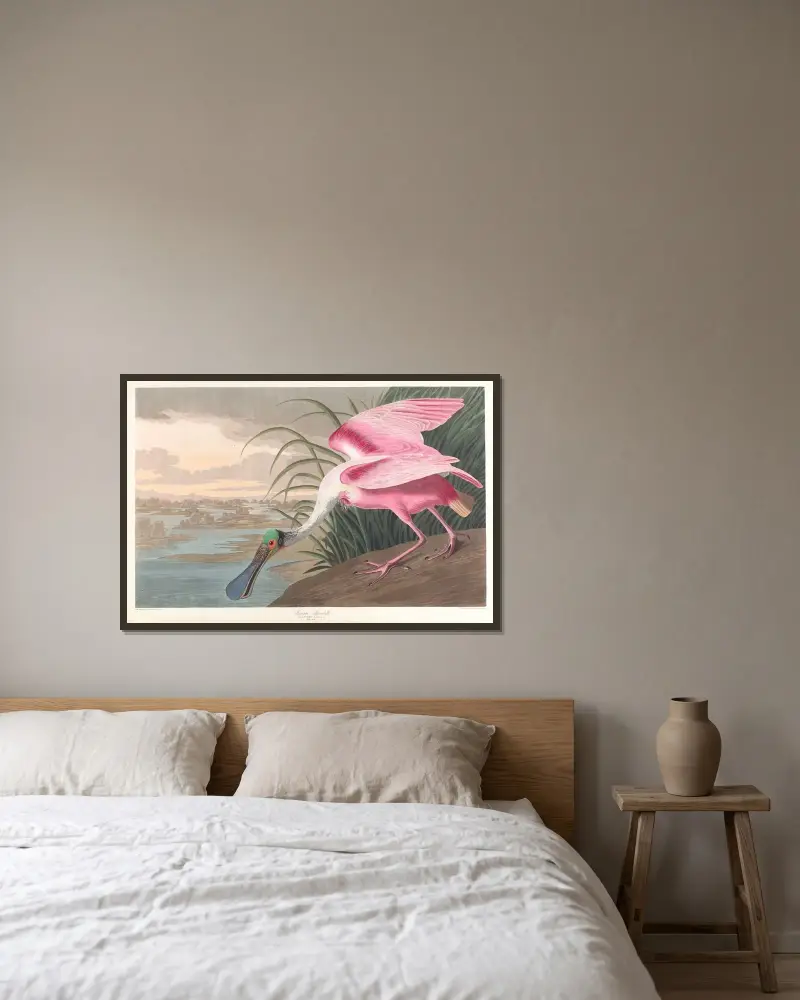 Rosenscheffler von John James Audubon gerahmt an einer Wand