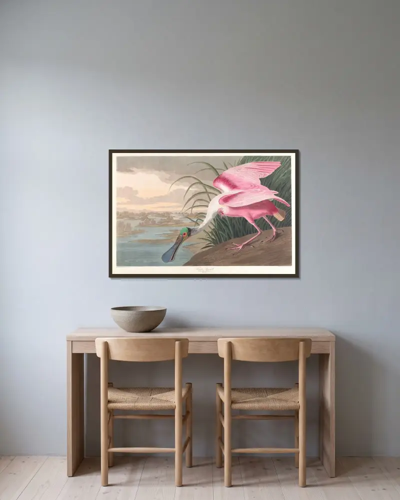 Rosenscheffler von John James Audubon gerahmt an einer Wand