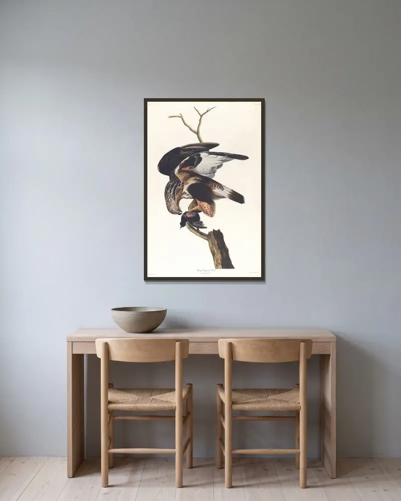 Myszołów włochaty, John James Audubon w ramie na ścianie