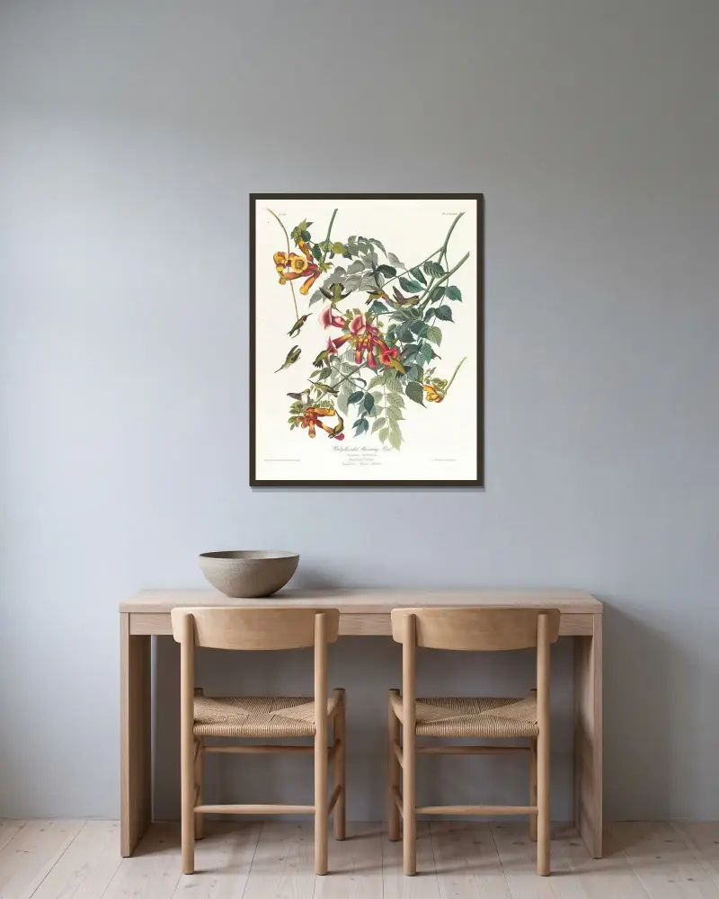 Ruby-throated humming bird von John James Audubon gerahmt an einer Wand