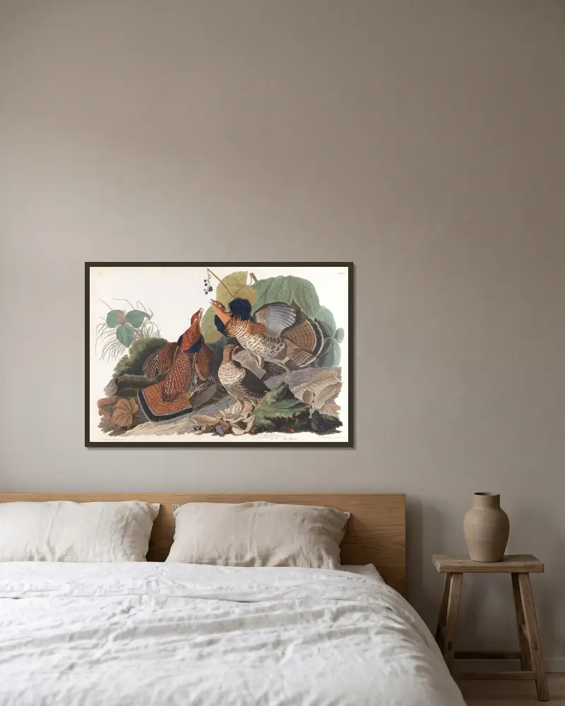 Głuszec, John James Audubon w ramie na ścianie