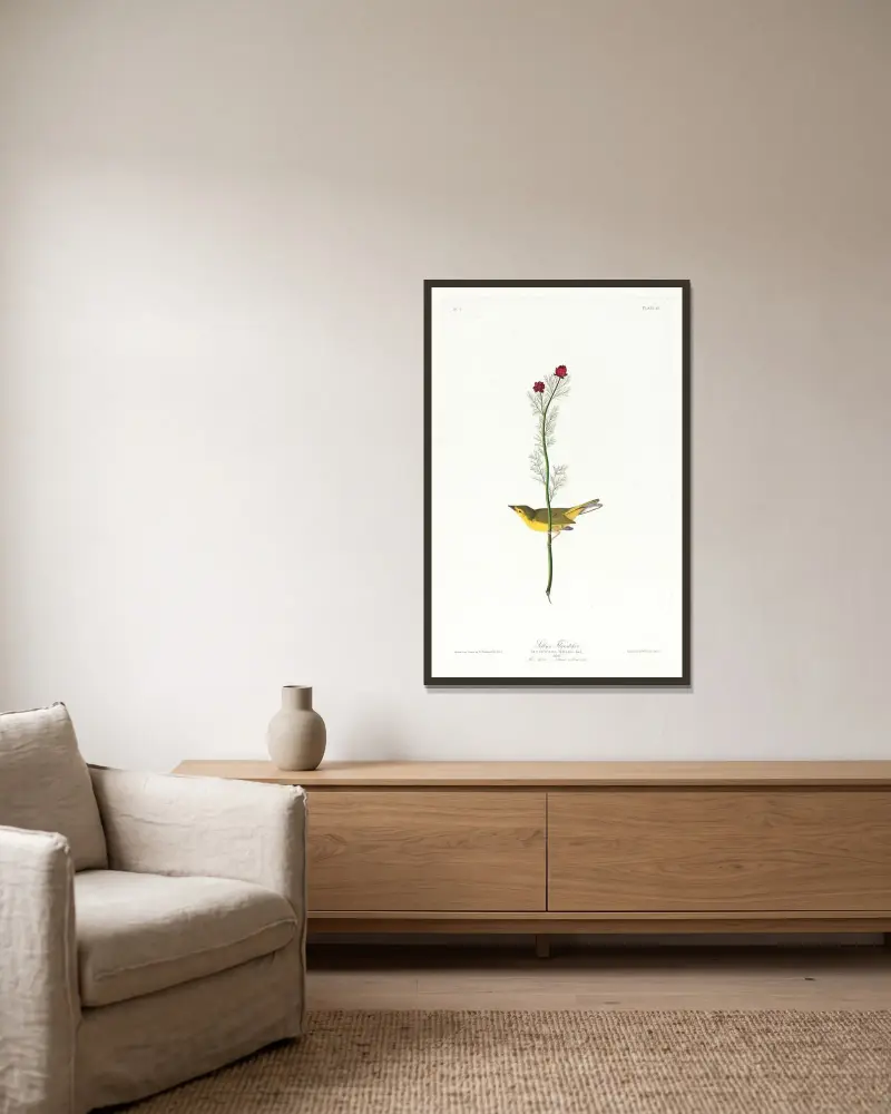 Selby’s flycatcher av John James Audubon inramad på en vägg