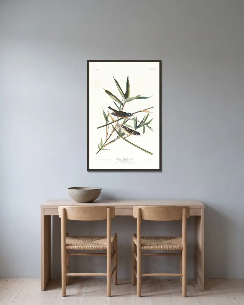 Ensam flugsnappare av John James Audubon inramad på en vägg