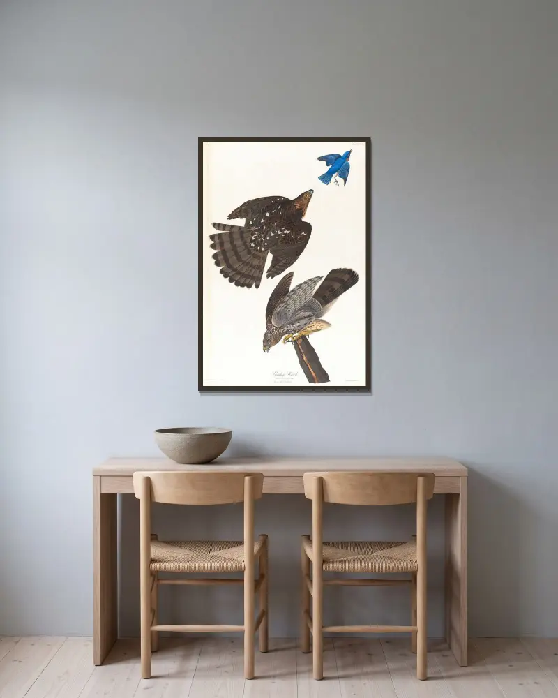 Jastrząb Stanleya, John James Audubon w ramie na ścianie