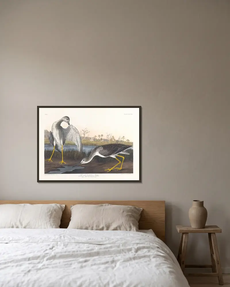 Tell-tale godwit or snipe av John James Audubon inramad på en vägg