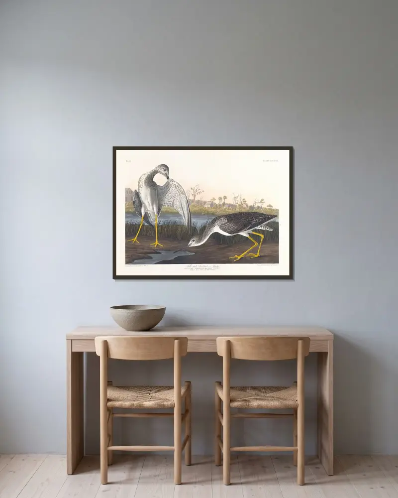 Tell-tale godwit or snipe av John James Audubon inramad på en vägg