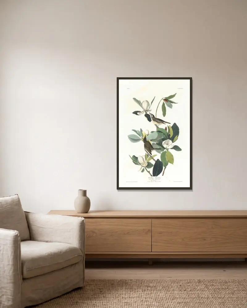 Warbling Flycatcher von John James Audubon gerahmt an einer Wand
