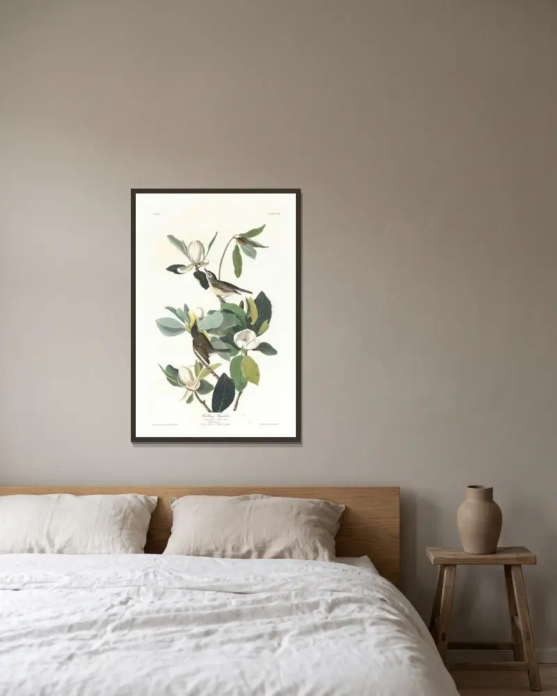 Warbling Flycatcher von John James Audubon gerahmt an einer Wand