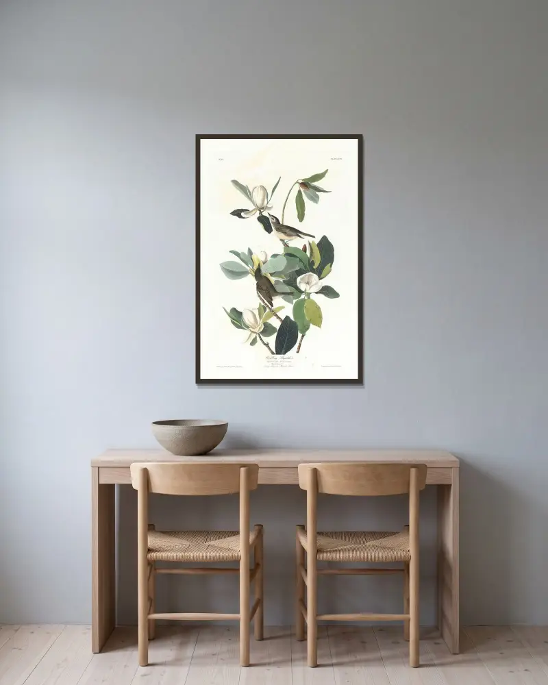 Warbling Flycatcher von John James Audubon gerahmt an einer Wand