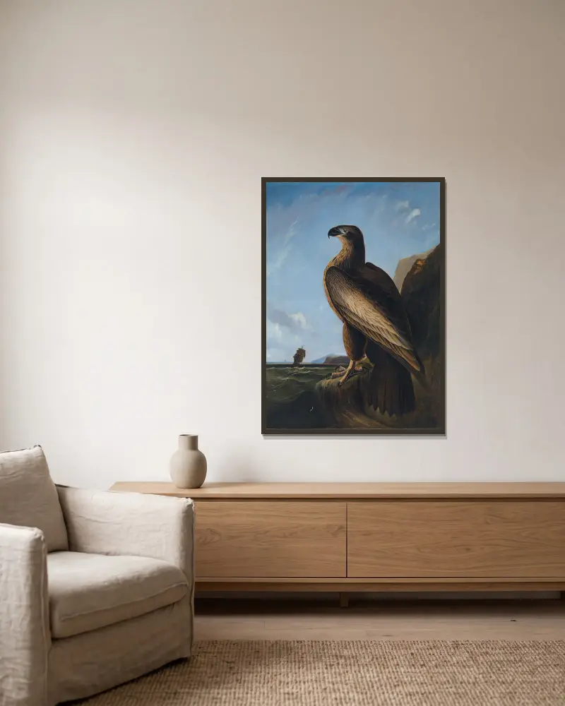Washington Sea Eagle av John James Audubon inramad på en vägg