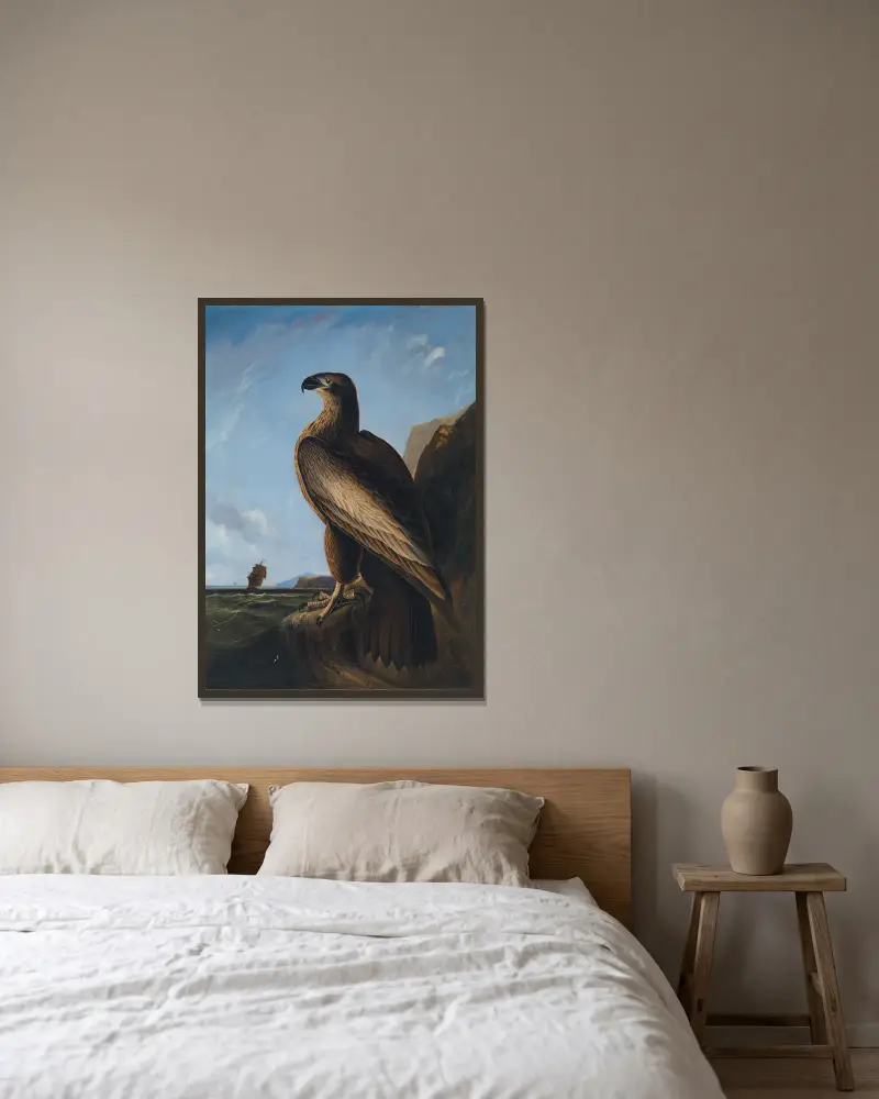 Washington Sea Eagle av John James Audubon inramad på en vägg