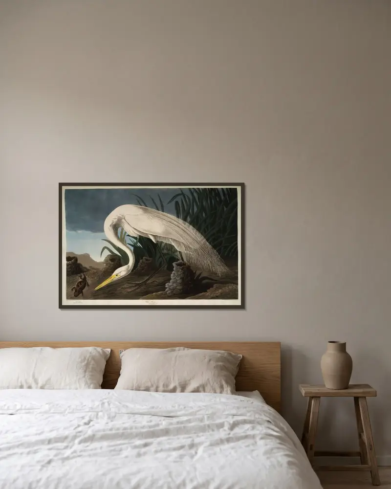 White Heron, 1827 – nr 2 av John James Audubon inramad på en vägg