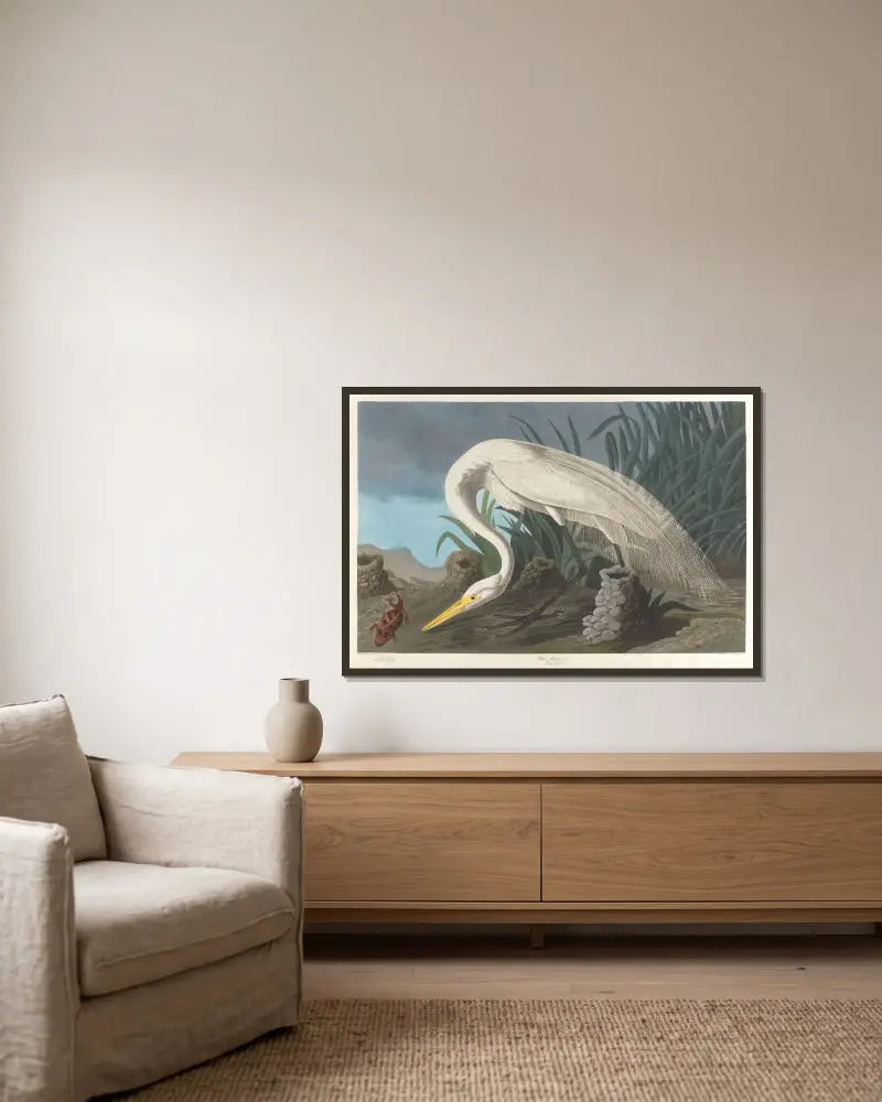 Biała czapla, 1827 – nr 1, John James Audubon w ramie na ścianie