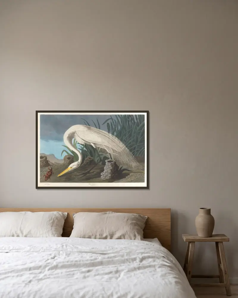 Biała czapla, 1827 – nr 1, John James Audubon w ramie na ścianie