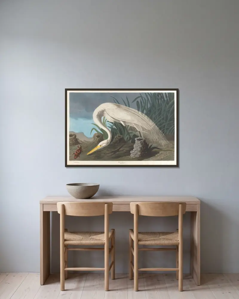 Biała czapla, 1827 – nr 1, John James Audubon w ramie na ścianie
