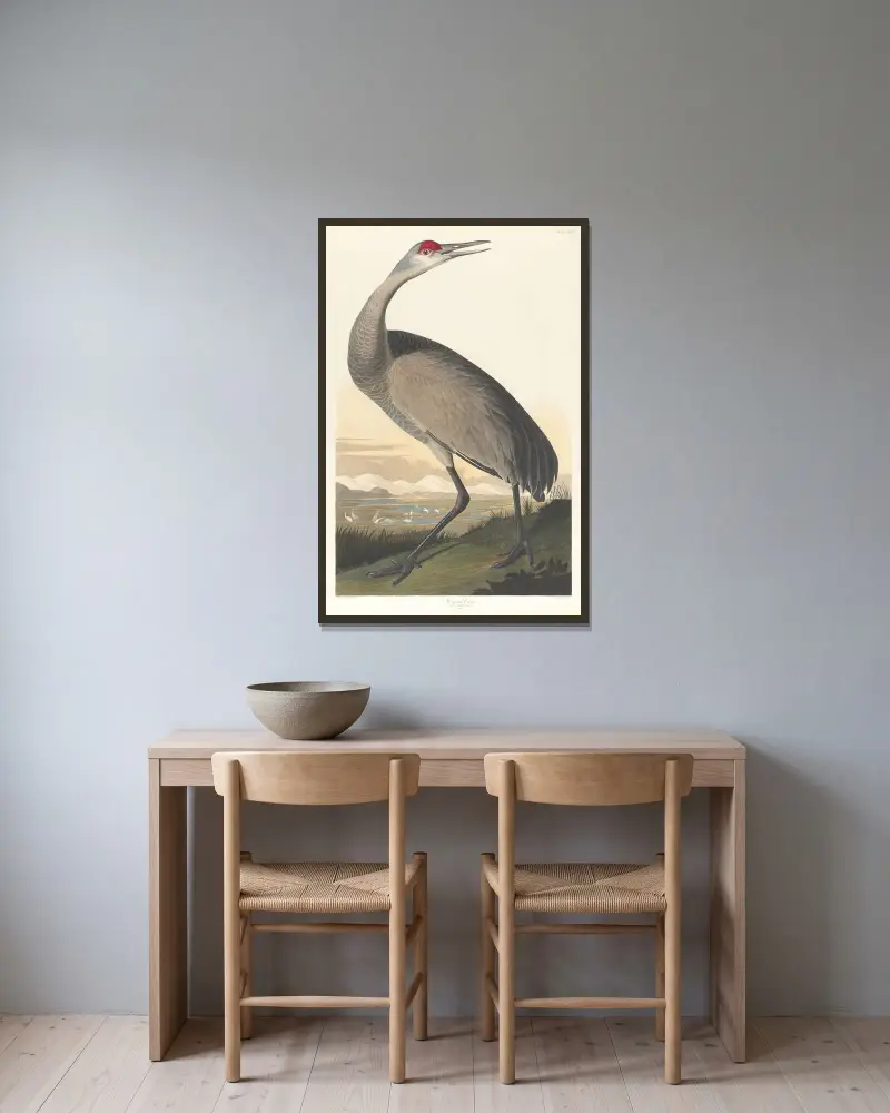 Whooping crane av John James Audubon inramad på en vägg