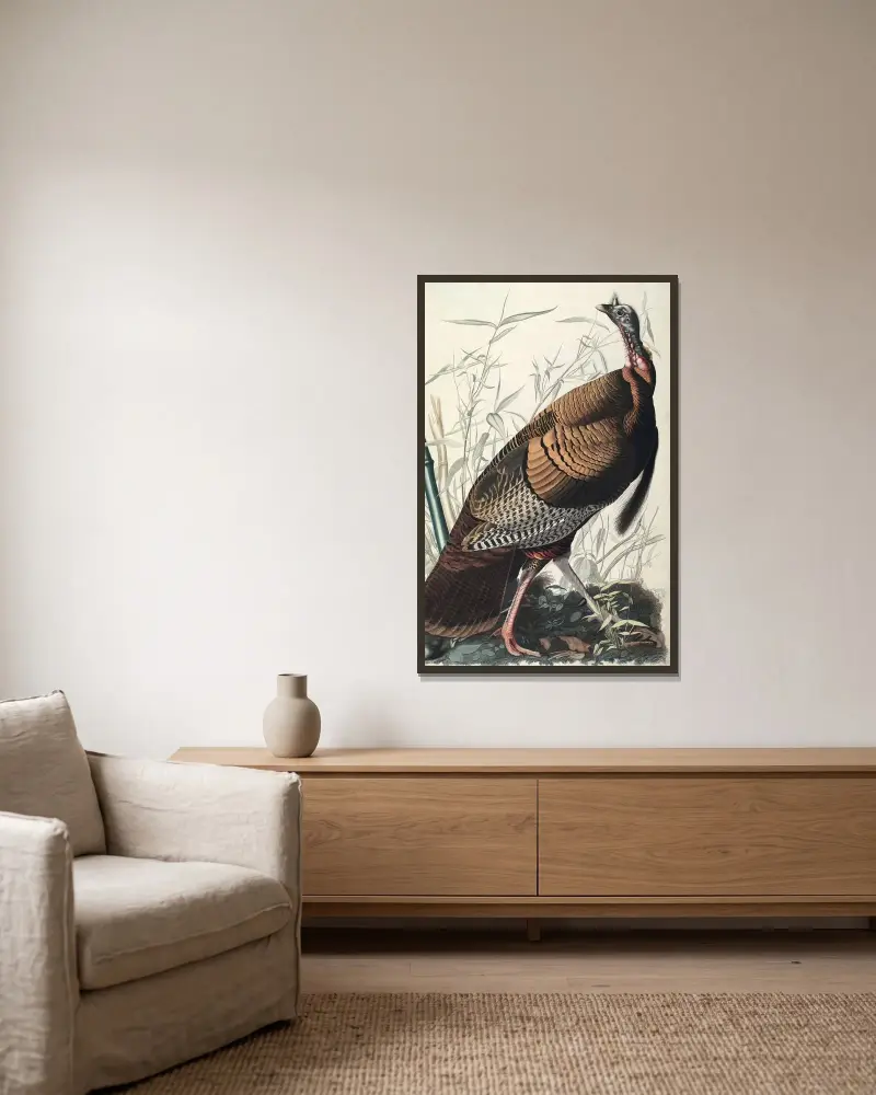 Dziki indyk, 1827 – nr 2, John James Audubon w ramie na ścianie