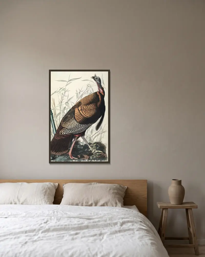 Dziki indyk, 1827 – nr 2, John James Audubon w ramie na ścianie