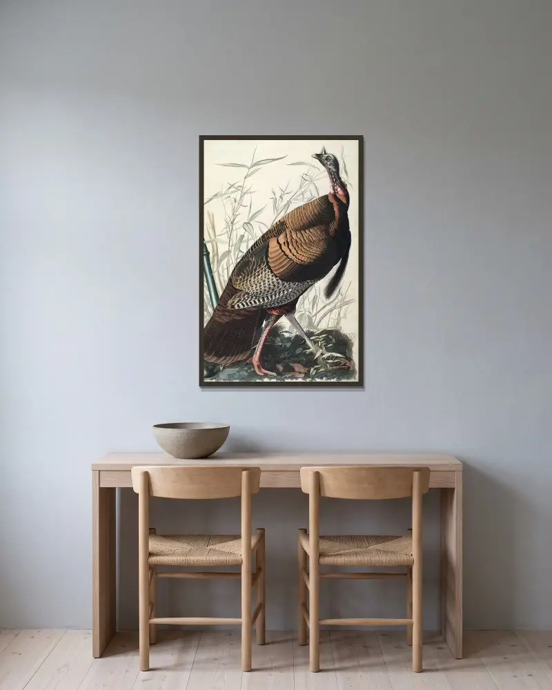 Dziki indyk, 1827 – nr 2, John James Audubon w ramie na ścianie