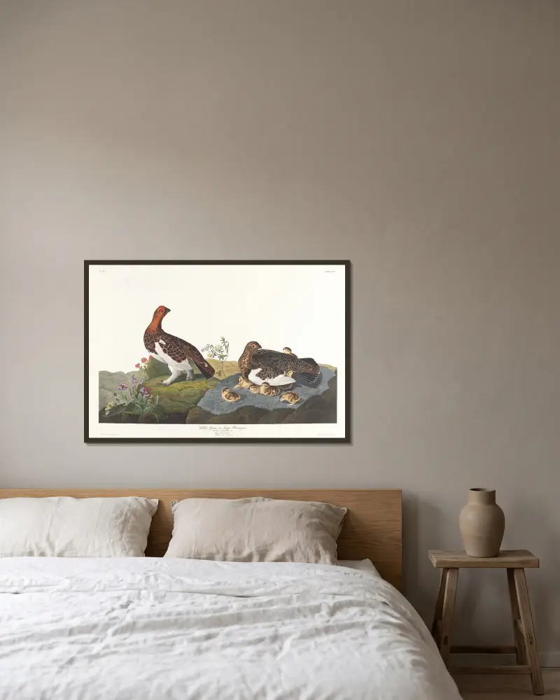 Weidenschneehuhn oder großes Moorschneehuhn von John James Audubon gerahmt an einer Wand