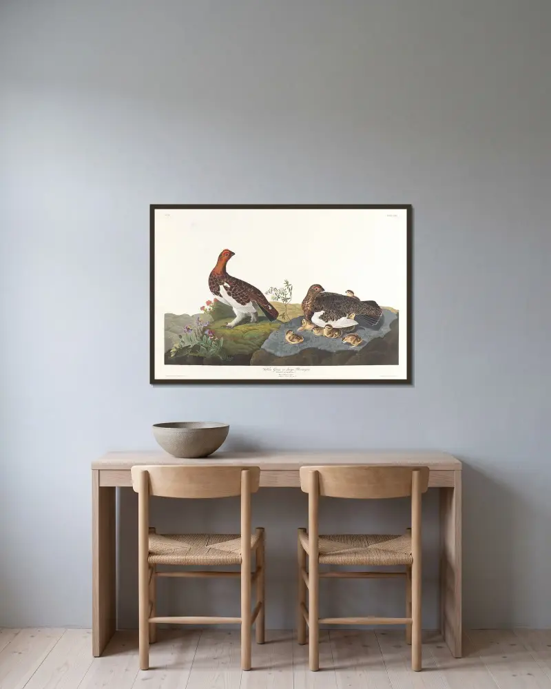 Weidenschneehuhn oder großes Moorschneehuhn von John James Audubon gerahmt an einer Wand