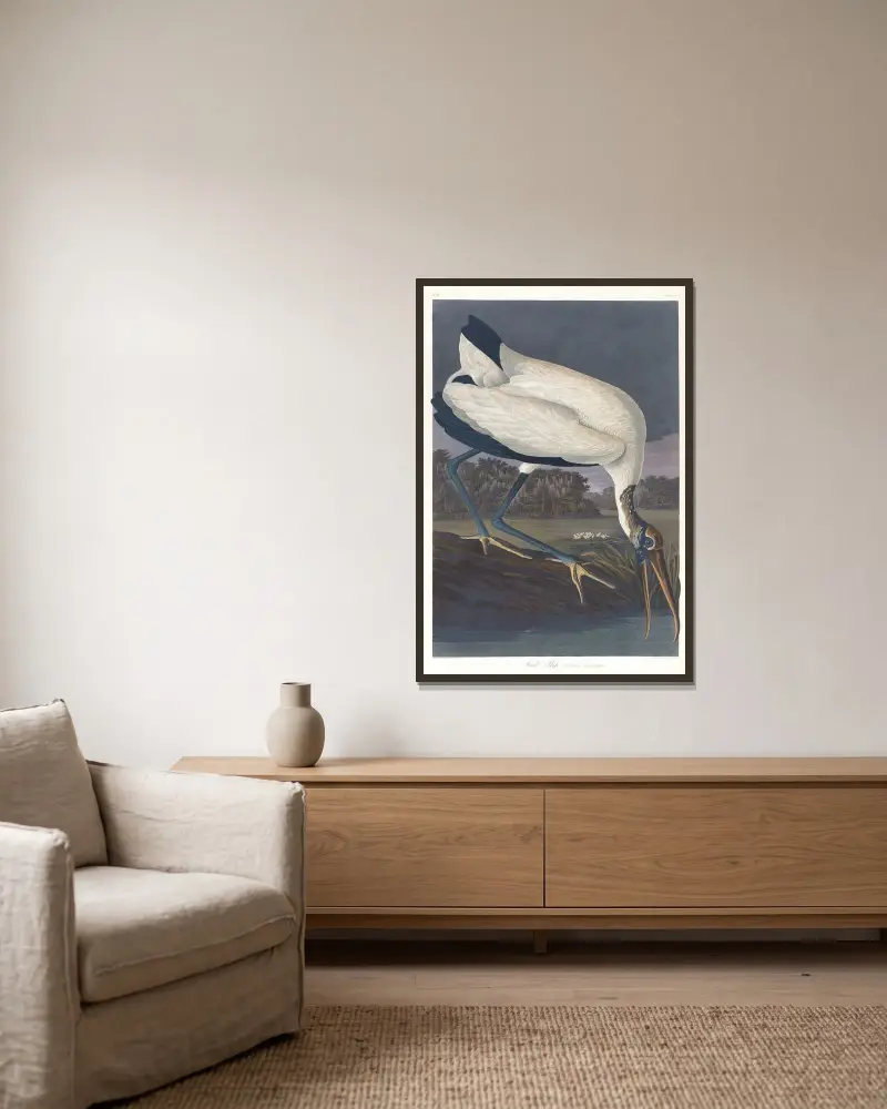 Wood ibis av John James Audubon inramad på en vägg